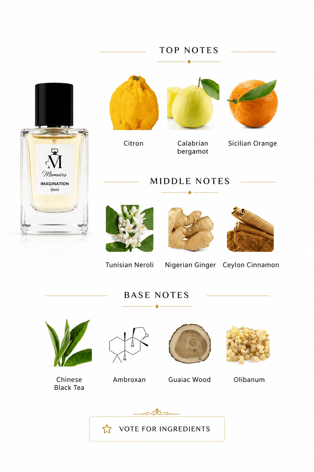 MEMOIRS IMAGINATION long-lasting men's perfume bottle by Memoirs London — image 2 of 2